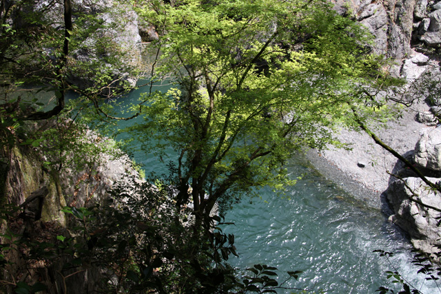 2009_04_18_6677.jpg